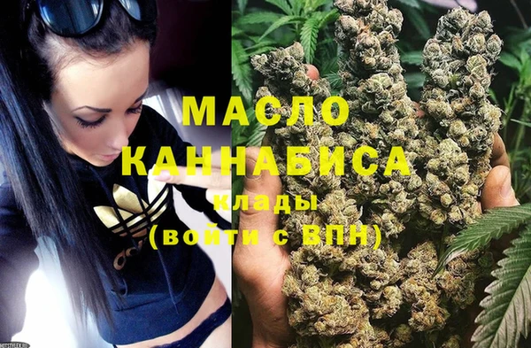 гидра Заводоуковск