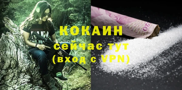 гидра Заводоуковск