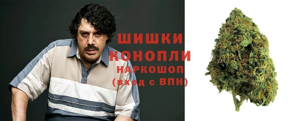 молекула духа Заволжск