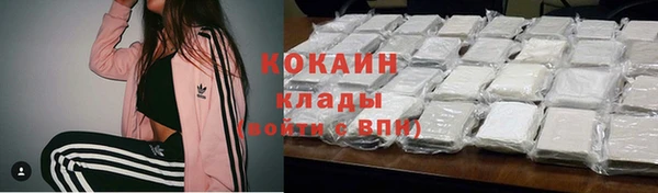 гидра Заводоуковск