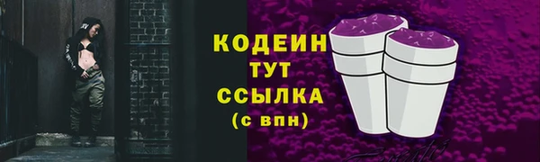 гидра Заводоуковск