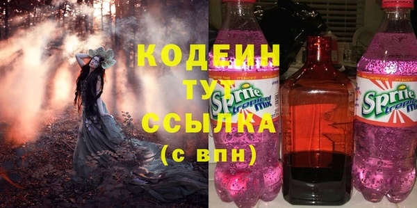 гидра Заводоуковск