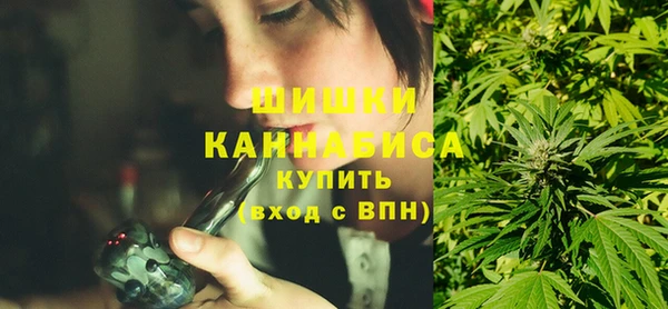 гидра Заводоуковск