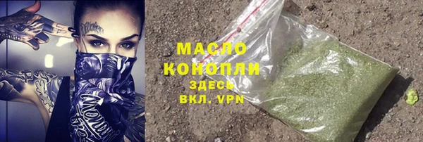 гидра Заводоуковск