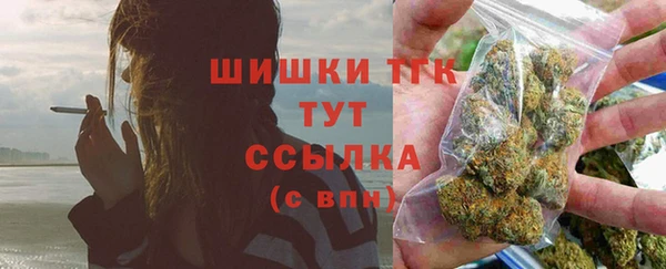 гидра Заводоуковск
